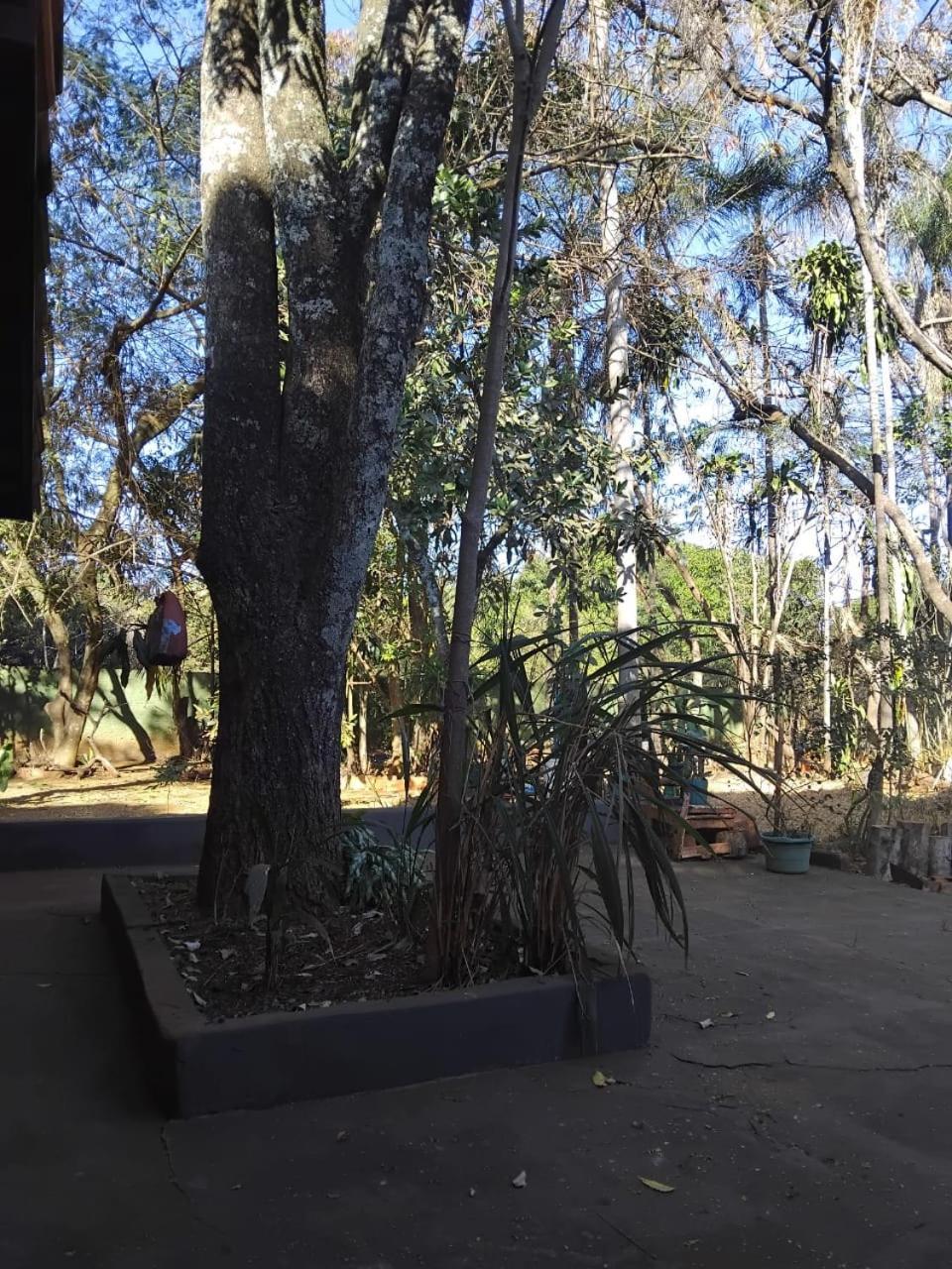 Sitio Bemtevi - Jockey Camping - Uberlandia Villa Luaran gambar